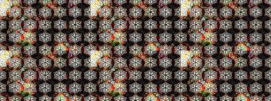 Renkli siyah ve gri çizim kalıpları. Tekstil ve kapak tasarımı için mükemmel. Siyah ve gri renkli çiçekler. Elle çizilmiş sonbahar çiçeği deseni. Doodle tarzı.