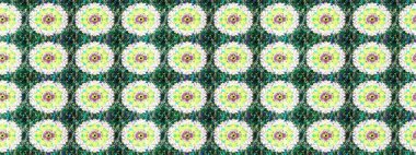 Moda baskısı. Dekorasyon ve tasarım için güzel bir desen. Çiçeğin suluboya çizimlerinin mükemmel deseni. Eski model. Suluboya çizim deseni.