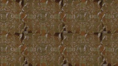 Renkli unsurlarla hareketli arka plan görüntüleri. Çiçekler. Eski model. Bayrak tarzı. Video kaydı. Şablon. Döngü. Kusursuz..