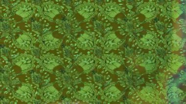 Renkli unsurlarla hareketli arka plan görüntüleri. Çiçekler. Eski model. Bayrak tarzı. Video kaydı. Şablon. Döngü. Kusursuz..