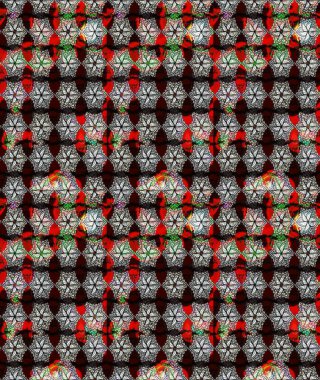 Raster illüstrasyonu. Klasik tropikal doğal elementlerin suluboya seti. Egzotik çiçekler, botanik parlak klasik siyah renkler.