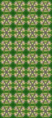 Doğulu stili, altın elementli yeşil, gri ve bej renklerde altın desenli arabesk yapar. Kusursuz kıvırcık saçlar. Raster altın desen.