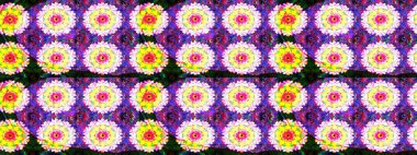 Çiçek arkaplan. - sarı ve tarafsız çiçekler. Çiçek kolajı. Raster deseni. Çiçek kompozisyonu. Küçük çiçekte güzel bir desen var. Doğa.