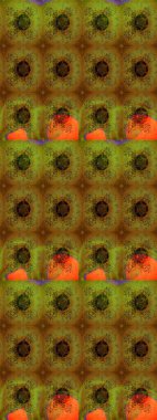 Çiçeğin suluboya çizimlerinin mükemmel deseni. Dekorasyon ve tasarım için güzel bir desen. Moda baskısı. Suluboya desenli çiçek deseni. Ayarlanmış.