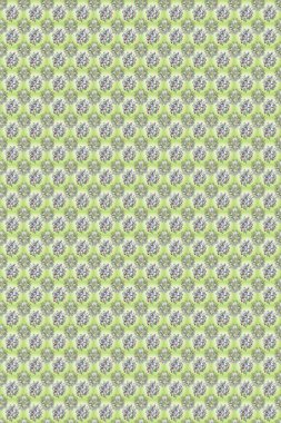 Kusursuz süs izi. Sınır Kızılderili çiçekli paisley patten. Tebrik kartı geçmişi, boyama kitabı, arkaplan ve tekstil için kullanılabilir. Kına tarzı. Etnik Mandala havlusu.