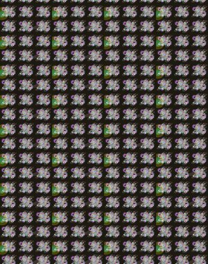 Gri renklerde. 3D çiçekler, eskiz. Raster illüstrasyonu.