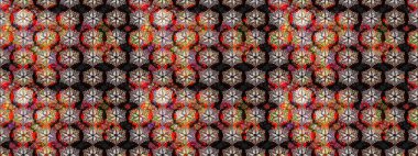 Yumuşak, yaz çiçekli arka plan. Siyah ve kahverengi renkte çiçekler. Raster çiçek desenli ve çiçekli..