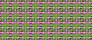 Pembe nilüferli ve yeşil yapraklı pürüzsüz raster çiçekli desen koyu arkaplanda simetrik olarak sıralanmış. Dekoratif botanik tasarımı tekstil, duvar kağıtları ve ambalaj kağıdı için idealdir..