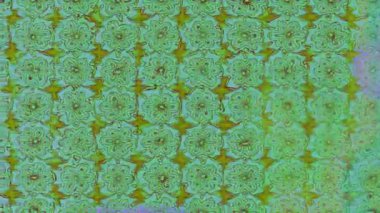 Renkli unsurlarla hareketli arka plan görüntüleri. Çiçekler. Eski model. Bayrak tarzı. Video kaydı. Şablon. Döngü. Kusursuz..