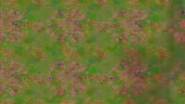 Renkli unsurlarla hareketli arka plan görüntüleri. Çiçekler. Eski model. Bayrak tarzı. Video kaydı. Şablon. Döngü. Kusursuz..