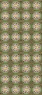 Doğulu stil, altın elementlerle bej ve nötr renklerde altın desenli arabesk yapar. Raster altın desen. Kusursuz kıvırcık saçlar..