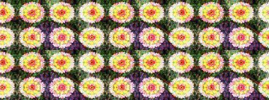 Parlak arkaplanda çiçek kompozisyonu olan suluboya desenleri çiz, ambalajlar, duvar kağıtları, kartpostallar, tebrik kartları, düğün davetiyeleri, romantik etkinlikler vs..