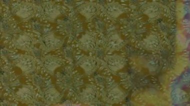 Renkli unsurlarla hareketli arka plan görüntüleri. Çiçekler. Eski model. Bayrak tarzı. Video kaydı. Şablon. Döngü. Kusursuz..