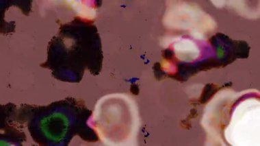 Renkli unsurlarla hareketli arka plan görüntüleri. Çiçekler. Eski model. Bayrak tarzı. Video kaydı. Şablon. Döngü. Kusursuz..