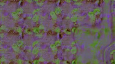 Renkli unsurlarla hareketli arka plan görüntüleri. Çiçekler. Eski model. Bayrak tarzı. Video kaydı. Şablon. Döngü. Kusursuz..