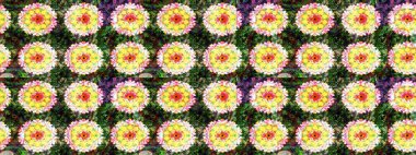 Tatil havası. Bahar mevsimi. Nazik romantik baskı. Raster güzel bir çiçek deseni çiziyor..