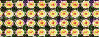 Tatil havası. Bahar mevsimi. Nazik romantik baskı. Raster güzel bir çiçek deseni çiziyor..