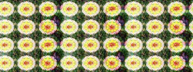 Karalama elementleri. Çizim çiçek deseni duvar kağıdı, web sitesi arka planı, ambalaj kağıdı, davetiye, broşür, afiş veya web sitesi için kullanılabilir. El çizimi Raster illüstrasyonu.