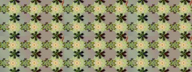 Raster illüstrasyonu. Güzel kumaş deseni. Düz Çiçek Elementleri Tasarımı. Çiçek desenli çizim. Renkli Bahar Teması eskiz kalıbı. Asya tekstil tarzında.