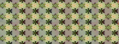 Raster illüstrasyonu. Güzel kumaş deseni. Düz Çiçek Elementleri Tasarımı. Çiçek desenli çizim. Renkli Bahar Teması eskiz kalıbı. Asya tekstil tarzında.