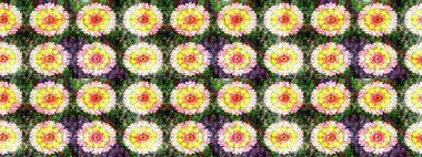 Raster illüstrasyonu. El çizimi. Çiçekler, dallar, bitkiler ve çiçekler. Güzel kumaş deseni.