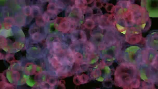 Motion tours colorés 