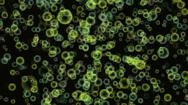 Images de bulles de mouvement 