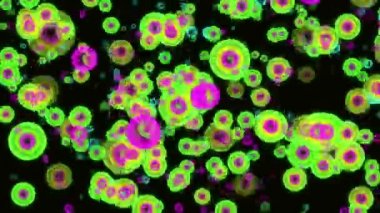 Hareketli görüntüleri yuvarlar