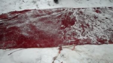 bir adam halı bayıltır