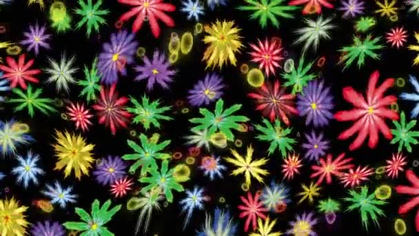 Στοιχεία ΠΡΟΤΑΣΗ λουλούδια — Αρχείο Βίντεο