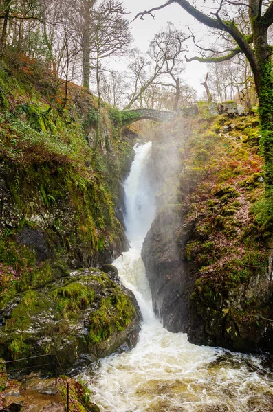 Aira Force Şelalesi ve üzerine köprü.