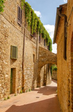 Güneşli bir günde İtalya 'da tipik boş bir cadde. Doğa çatıda büyüyor.