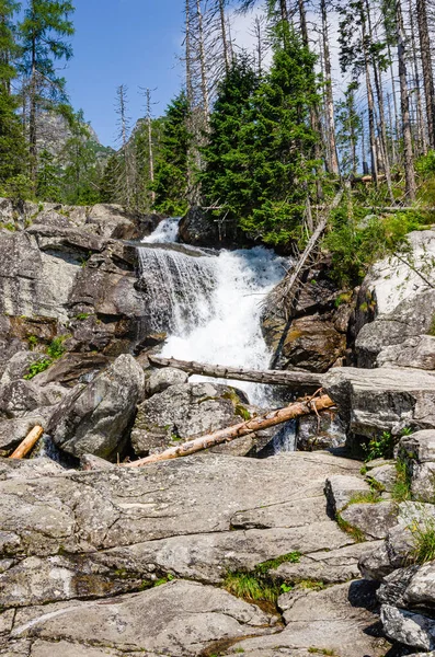 Wild Nature Waterfall — Stock Photo, Image