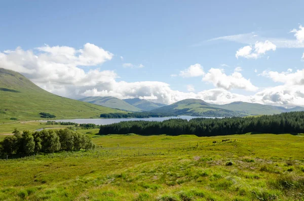 Montagnes Vertes Dans Île Skye Écosse — Photo