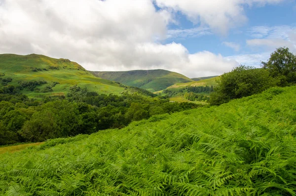 Grüne Berge Auf Der Isle Skye Schottland — Stockfoto