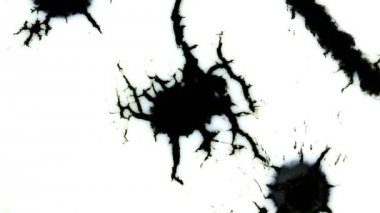 Siyah mürekkep boynun ve kabarcık