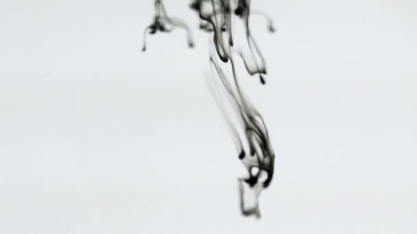 Gotas de tinta negra en espiral sobre corrientes de agua . — Vídeo de stock