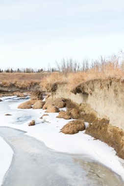 Spring creek boyunca erozyon