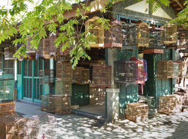 Kuşlar ve kafesleri Satılık