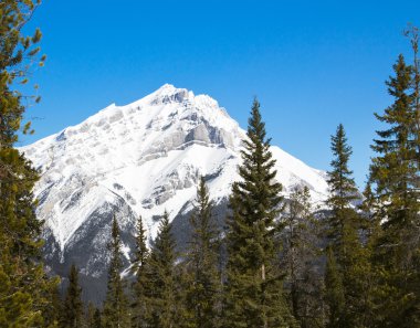 Art arda sıralı dağ, Alberta Kanada