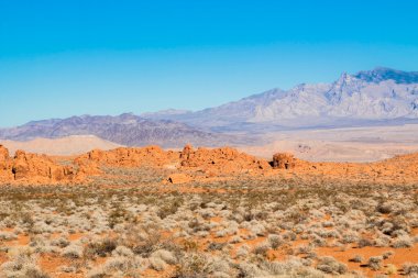 Ateş Vadisi, Nevada