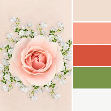 Rose collage with color swatches clipart