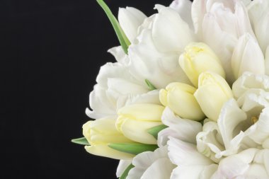 Pastel bouquet with black background.