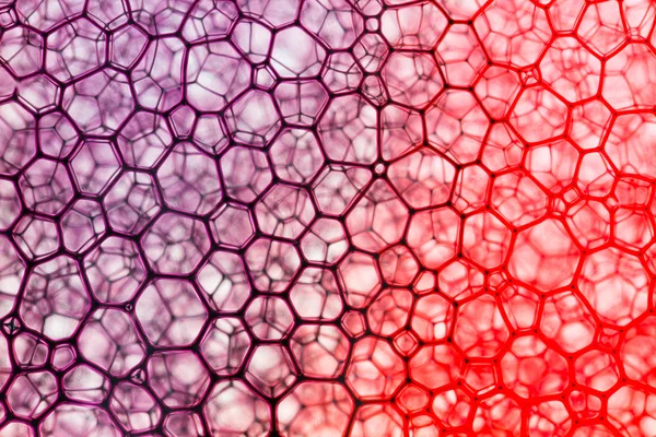 飽和紫と赤のパターン — ストック写真