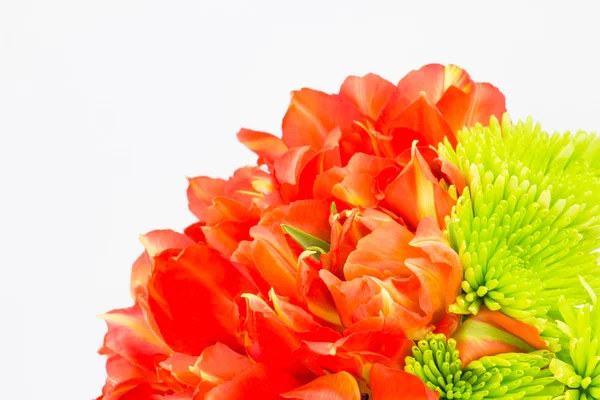 Помаранчеві тюльпани з зеленими ромашками — стокове фото
