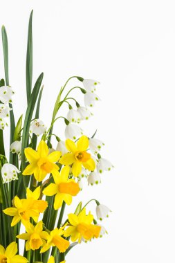 Sping çiçekli ampuller