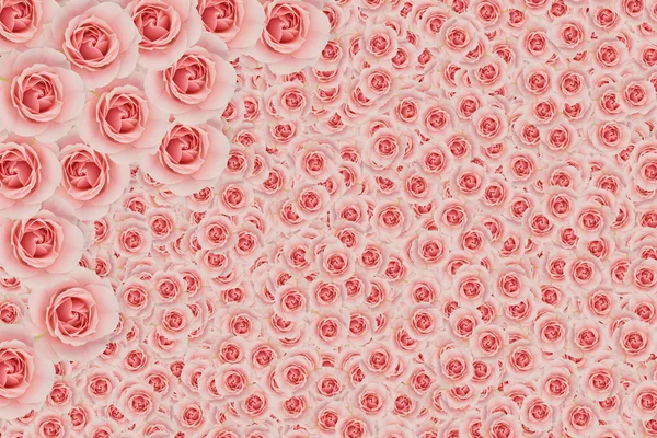 Pequena camada de rosa rosa com maior camada de rosa . — Fotografia de Stock