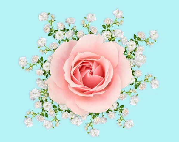 Pink and white roses on pastel blue — Φωτογραφία Αρχείου