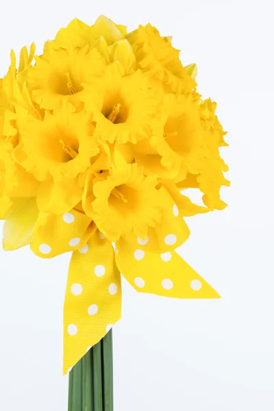 Žlutý Narcis kytice s lukem — Stock fotografie