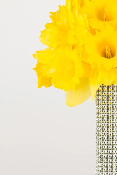 Žlutá trumpeta Narcis kytice — Stock fotografie